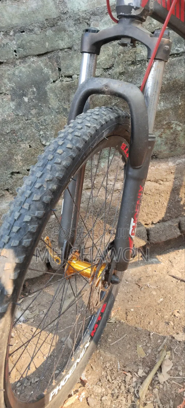 Phoenix Boxter MTB Bicycle