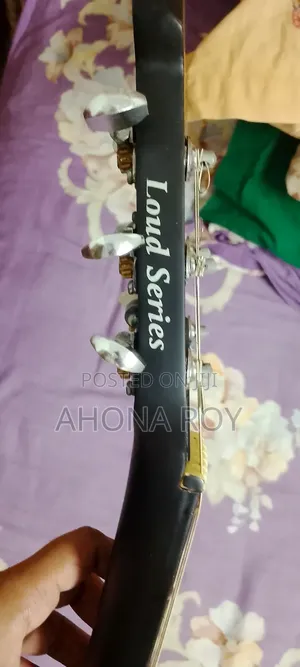 Photo - Indian Guitar