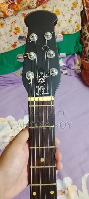 Indian Guitar