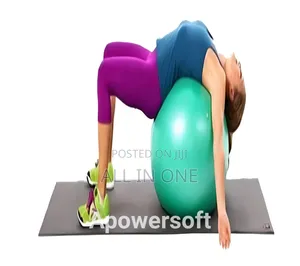 Gym Ball ফিটনেস বল