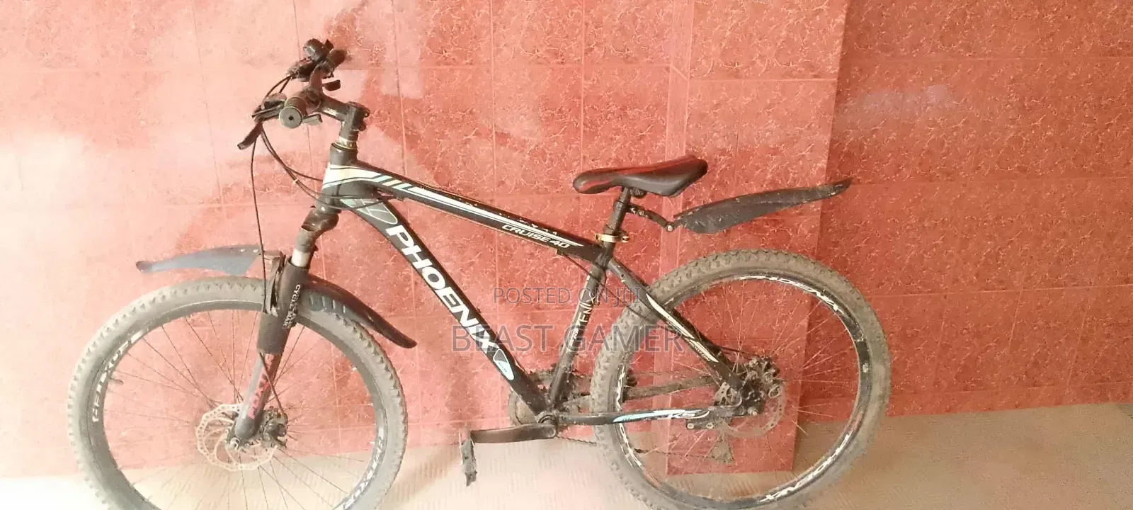 Phonex Gear Cycle 26'