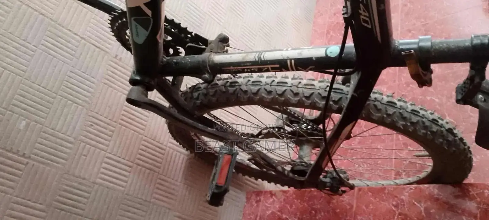 Phonex Gear Cycle 26'