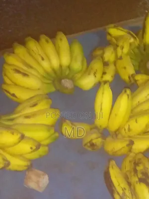 Photo - Banana Campa