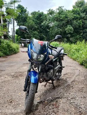 Photo - Bajaj Pulsar 150 2012 Blue