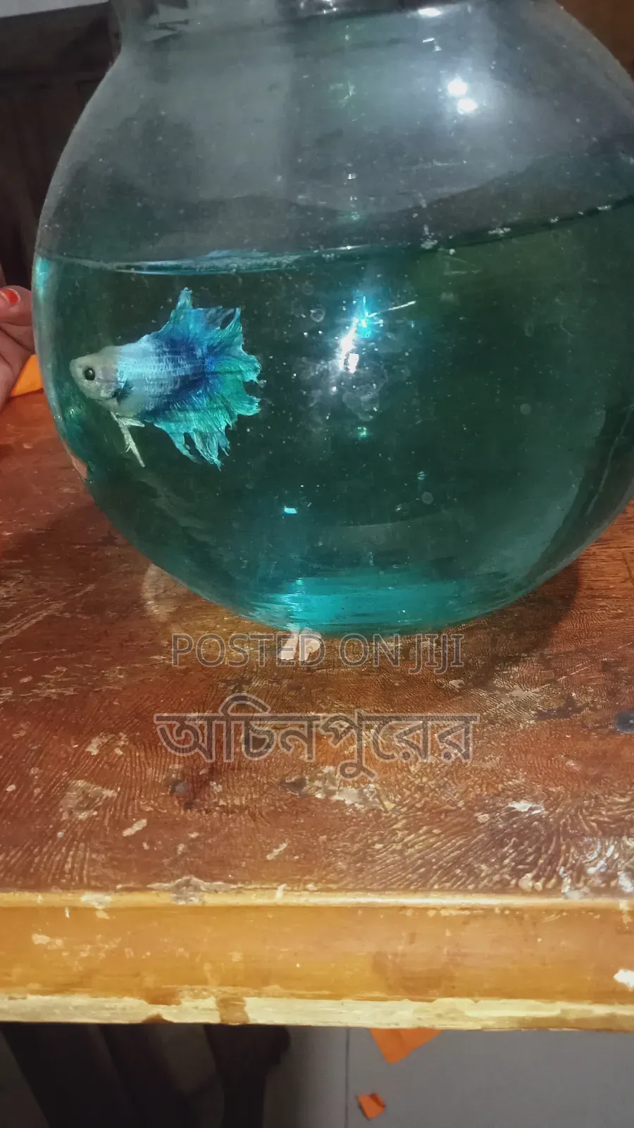 মাছ  কাছ থেকে নিলে আমরা আপনা কে বিশেষ ছাড় দিব