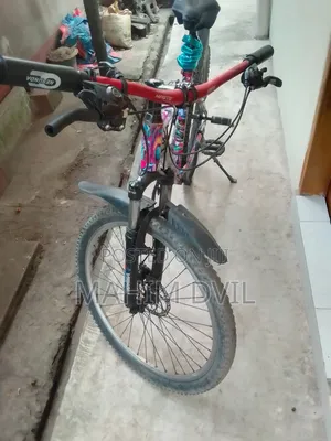 বাইসাইকেল ব্রান্ড বেনম