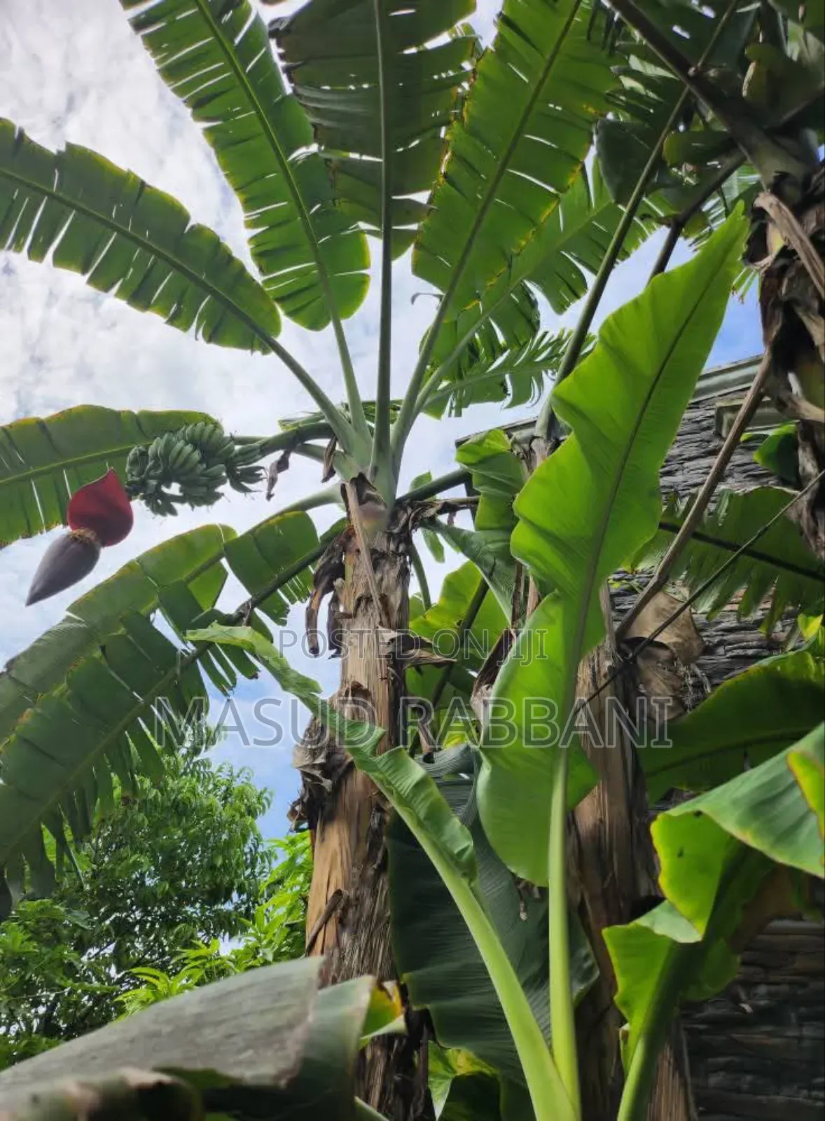 Plot Sale Uttara Sector 16e, Road 1a, Plot 10, Katha 5