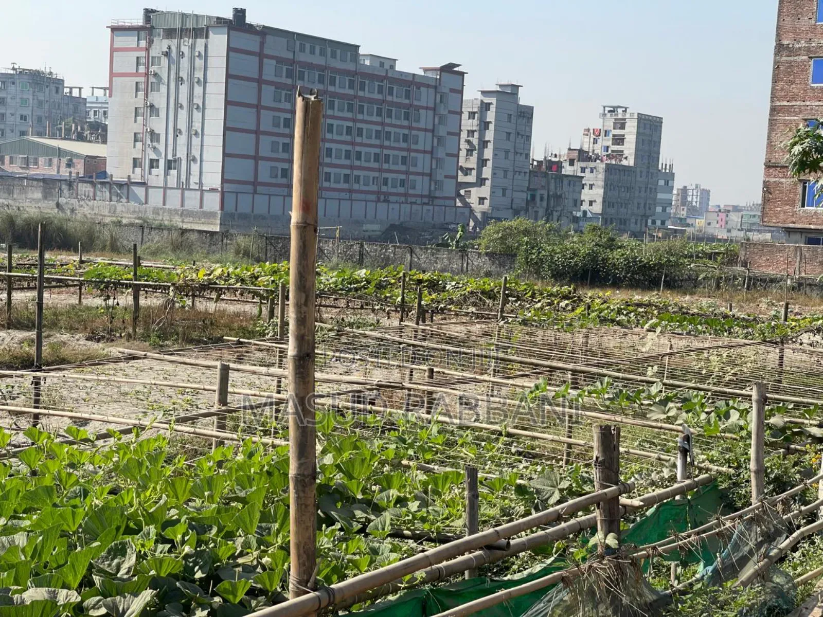 Plot Sale at Uttara Sector 3, Road 13a