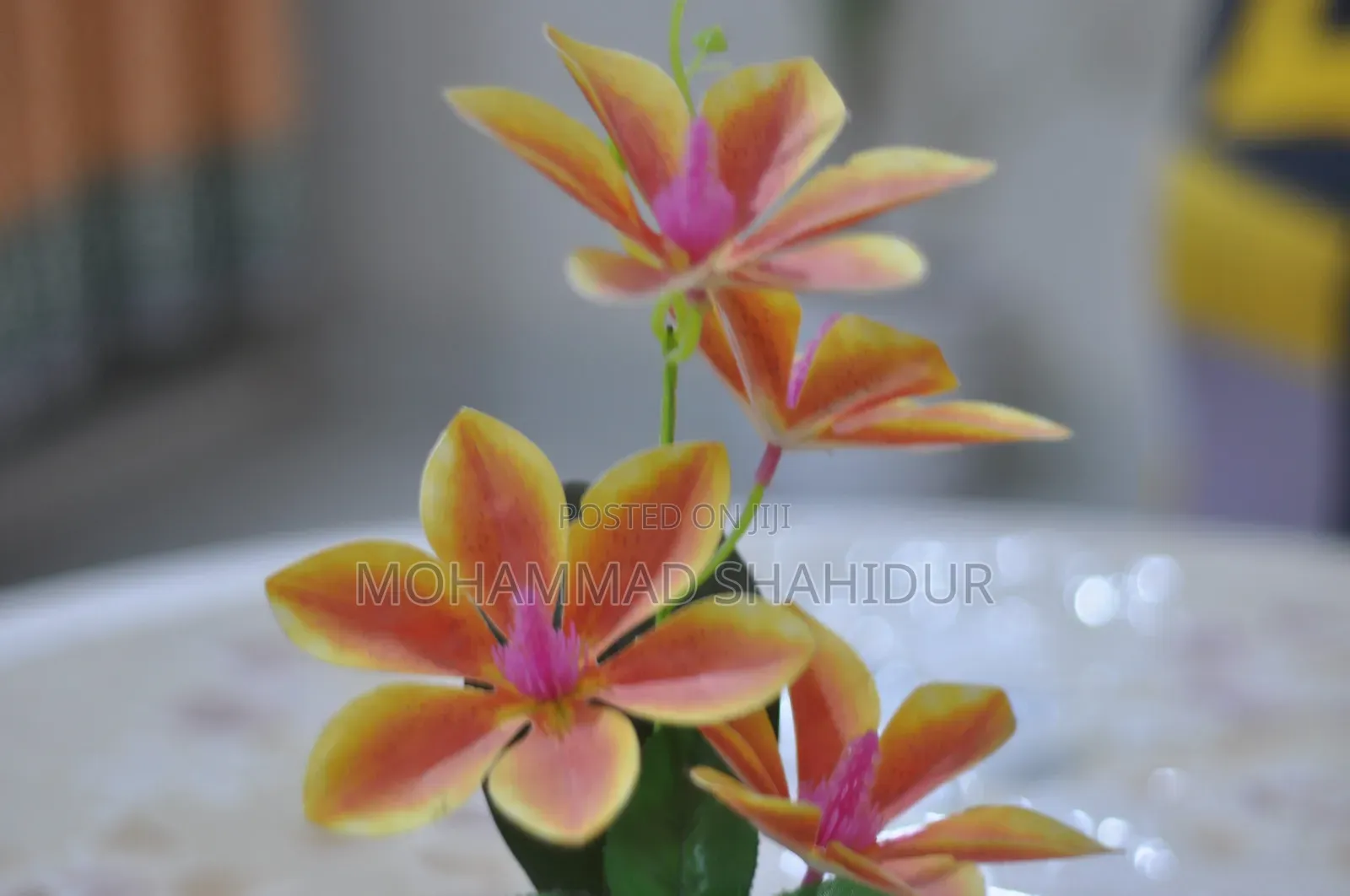 Legendary Nikon D90 DSLR Camera With 18-105mm Vr Lens