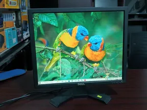 সুতার মতো ২দাগ – Dell 19" Hd Square Monitor