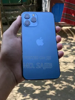 Apple iPhone 12 Pro Max 256 GB Blue