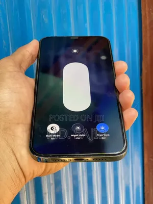 Apple iPhone 12 Pro Max 256 GB Blue