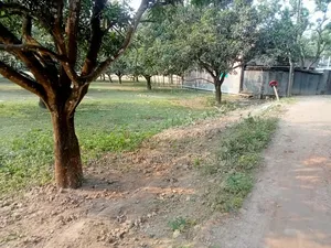 Photo - ৫ কাঠা জমি বিক্রয় রাস্তার সাথে