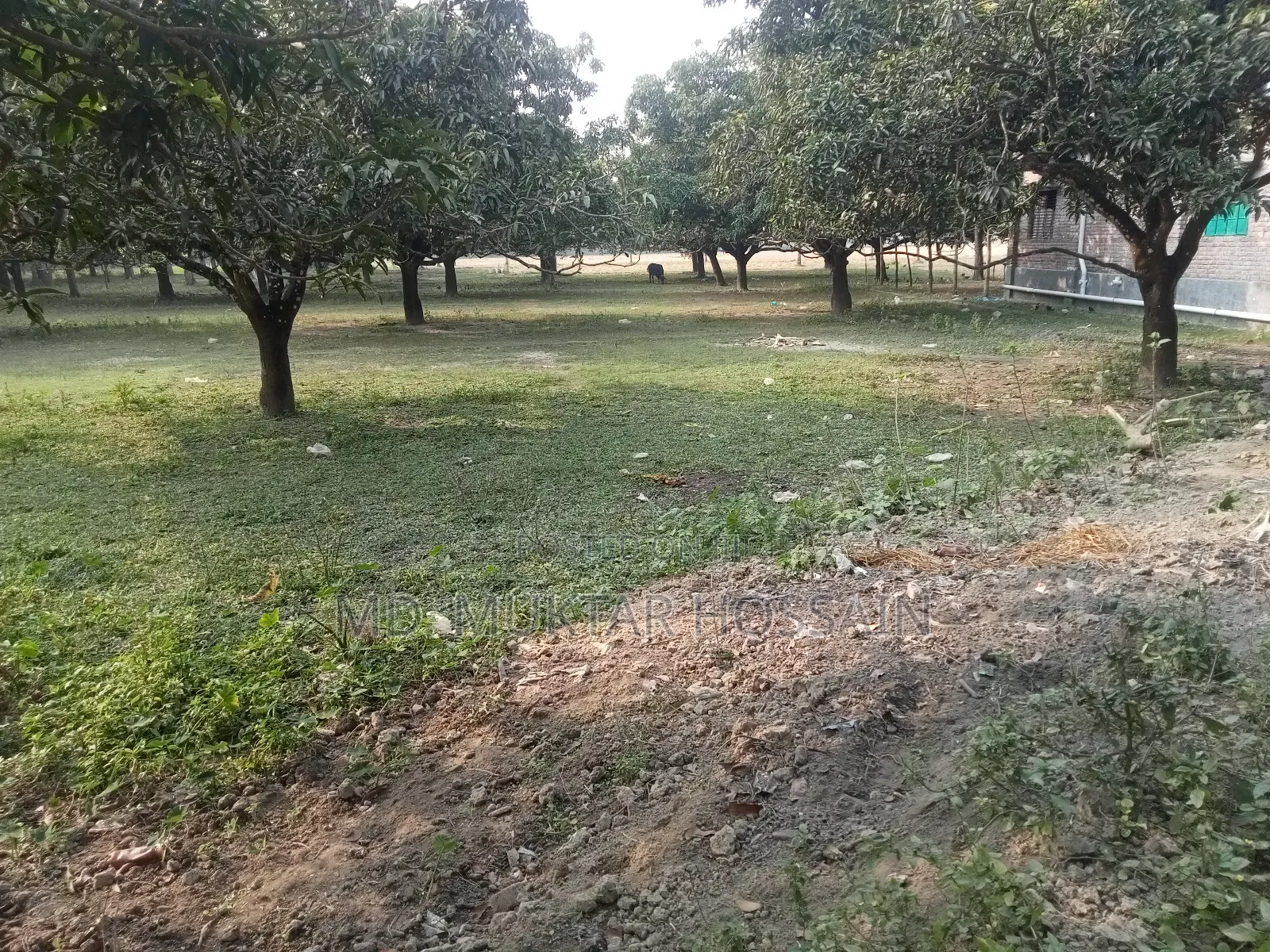 ৫ কাঠা জমি বিক্রয় রাস্তার সাথে