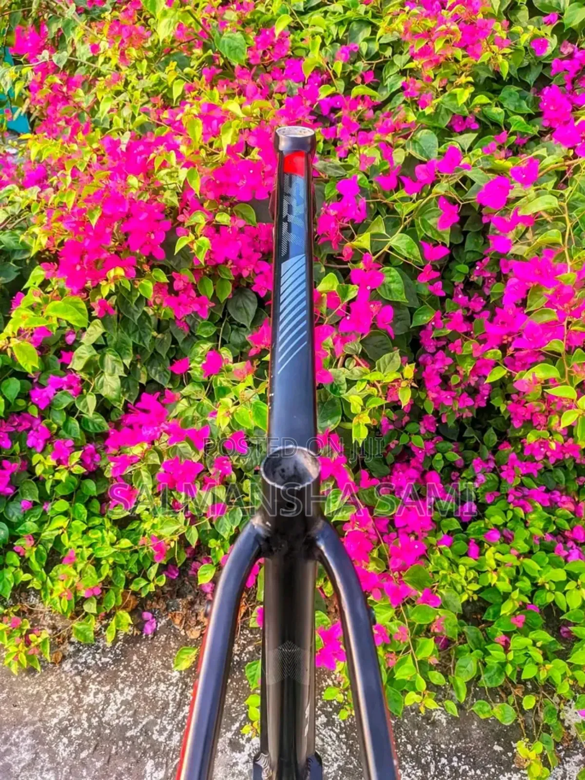 Motorcycle 2024 Black