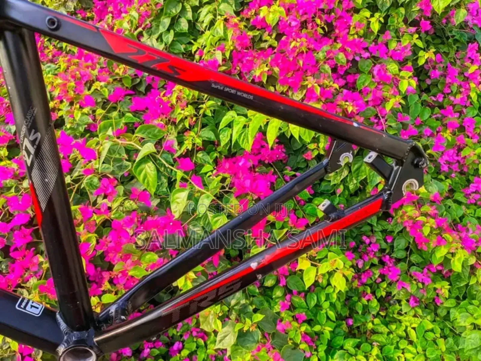 Motorcycle 2024 Black