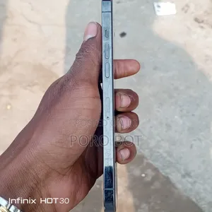 Apple iPhone 12 Pro Max 256 GB Blue