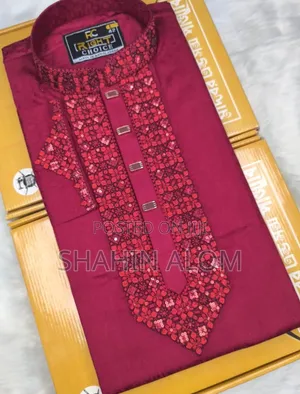 Photo - Sequence Embroidery Panjabi