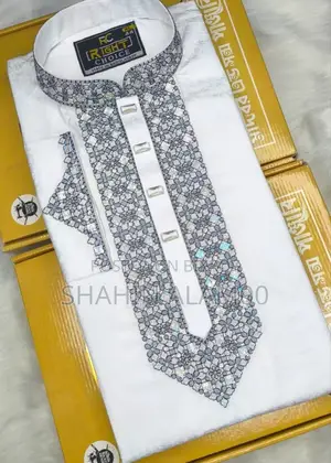 Sequence Embroidery Panjabi