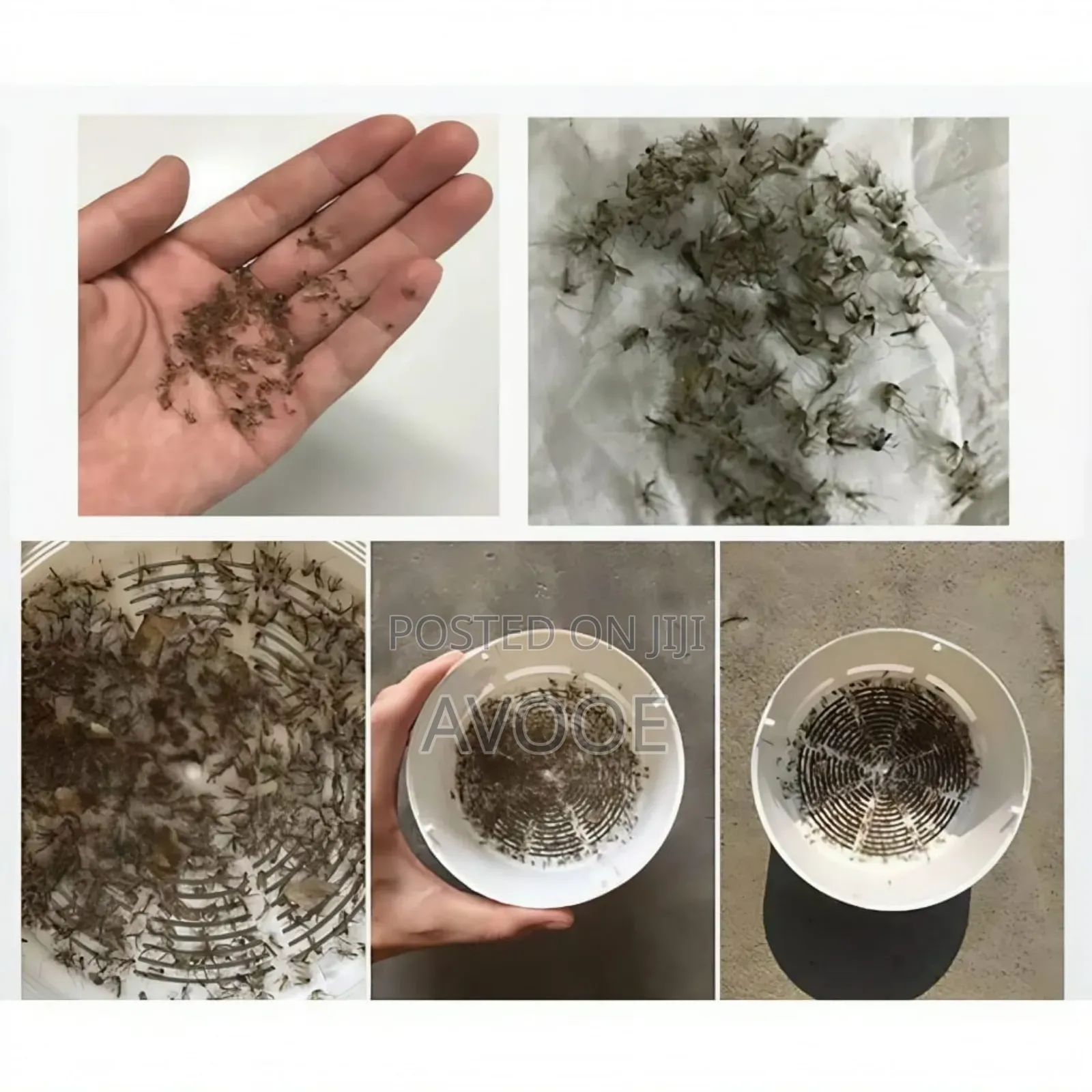 Chargeable Electric Mosquito Repellent Light Non-radiation Mute Killer