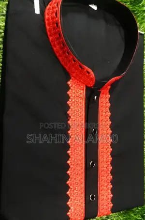 Embroidery Panjabi