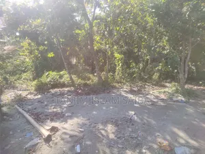 আকর্ষণীয় মূল্যে জমি বিক্রি করা হবে