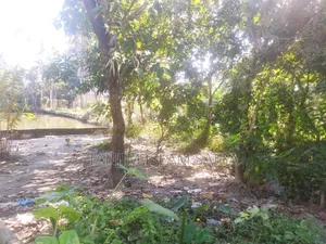আকর্ষণীয় মূল্যে জমি বিক্রি করা হবে