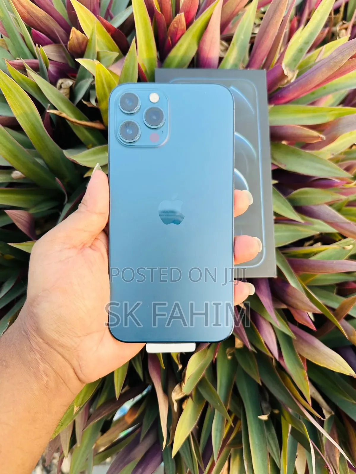 Apple iPhone 12 Pro Max 256 GB Blue