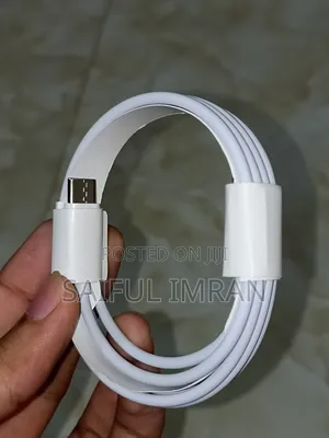 Type C-Lightning Cable of - Original Airpods Pro