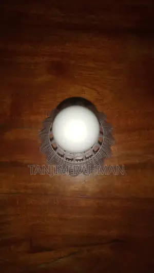 ভালো কোয়ালিটির ফেদার চাইলে নিতে পারেন