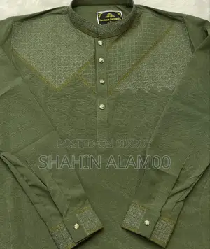 Sequence Embroidery Panjabi