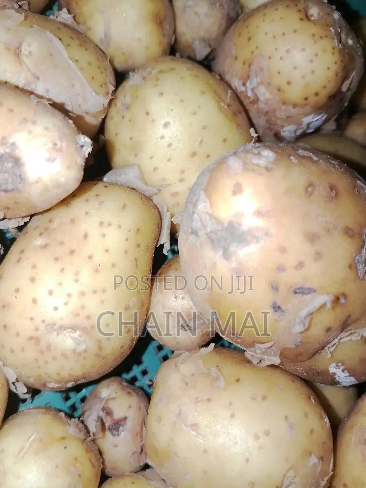 হকয়জডবসজপস