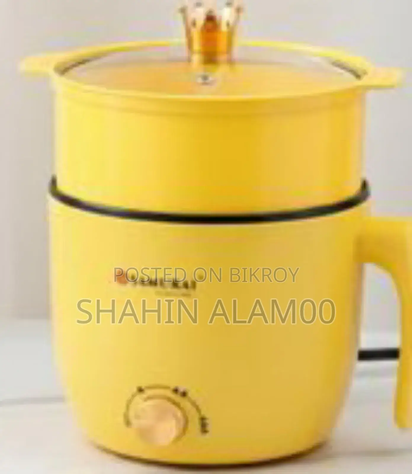 Multi-functional Electric Hot Pot