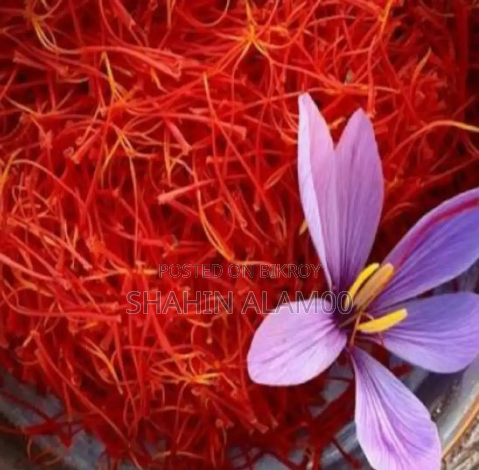 আপনি জানেন নিয়মিত জাফরান খেলে কি হয়