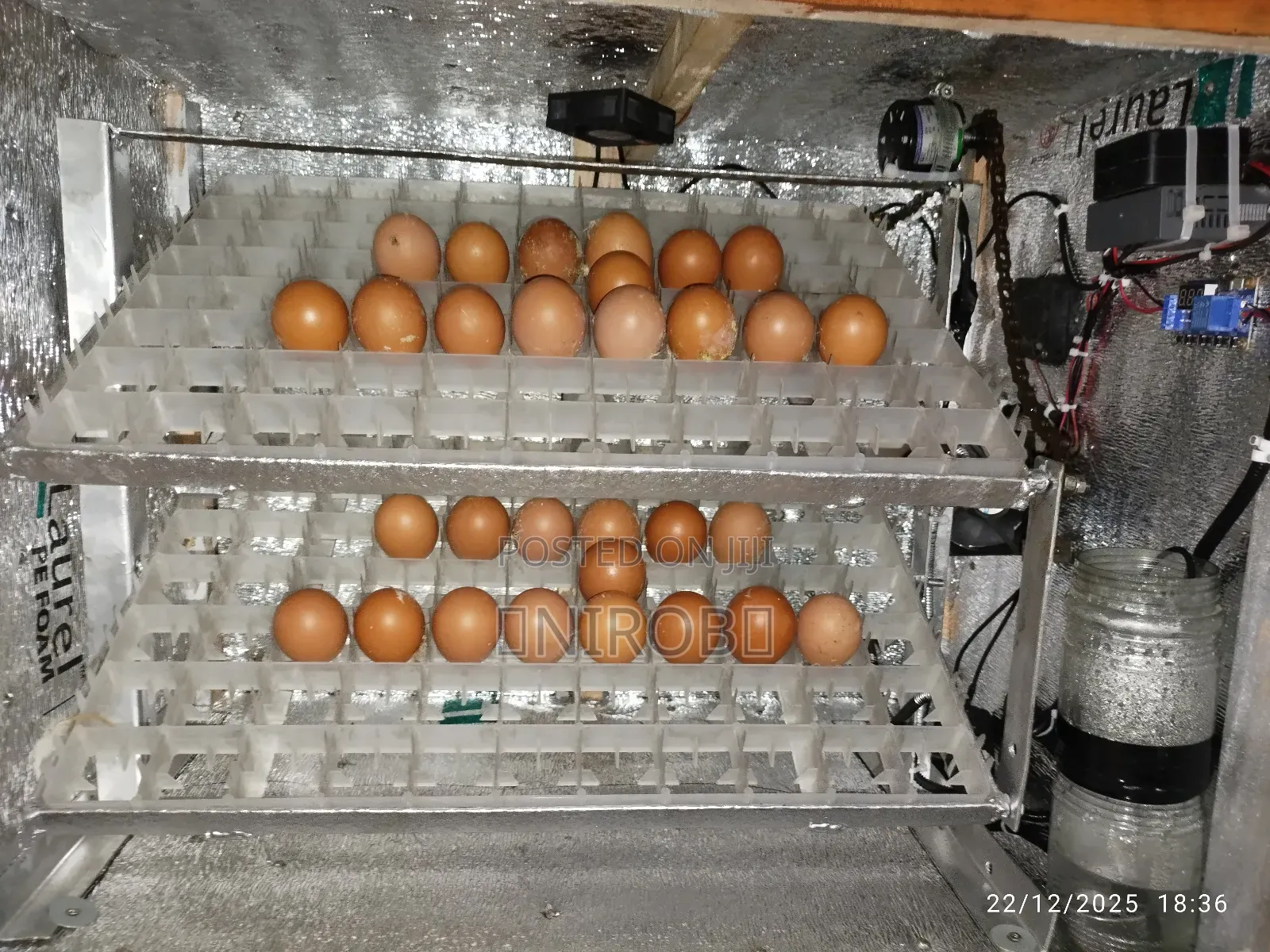 Egg Incubators