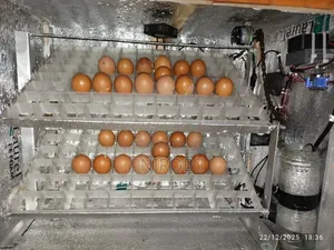 Egg Incubators