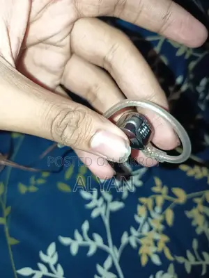Kz Castors