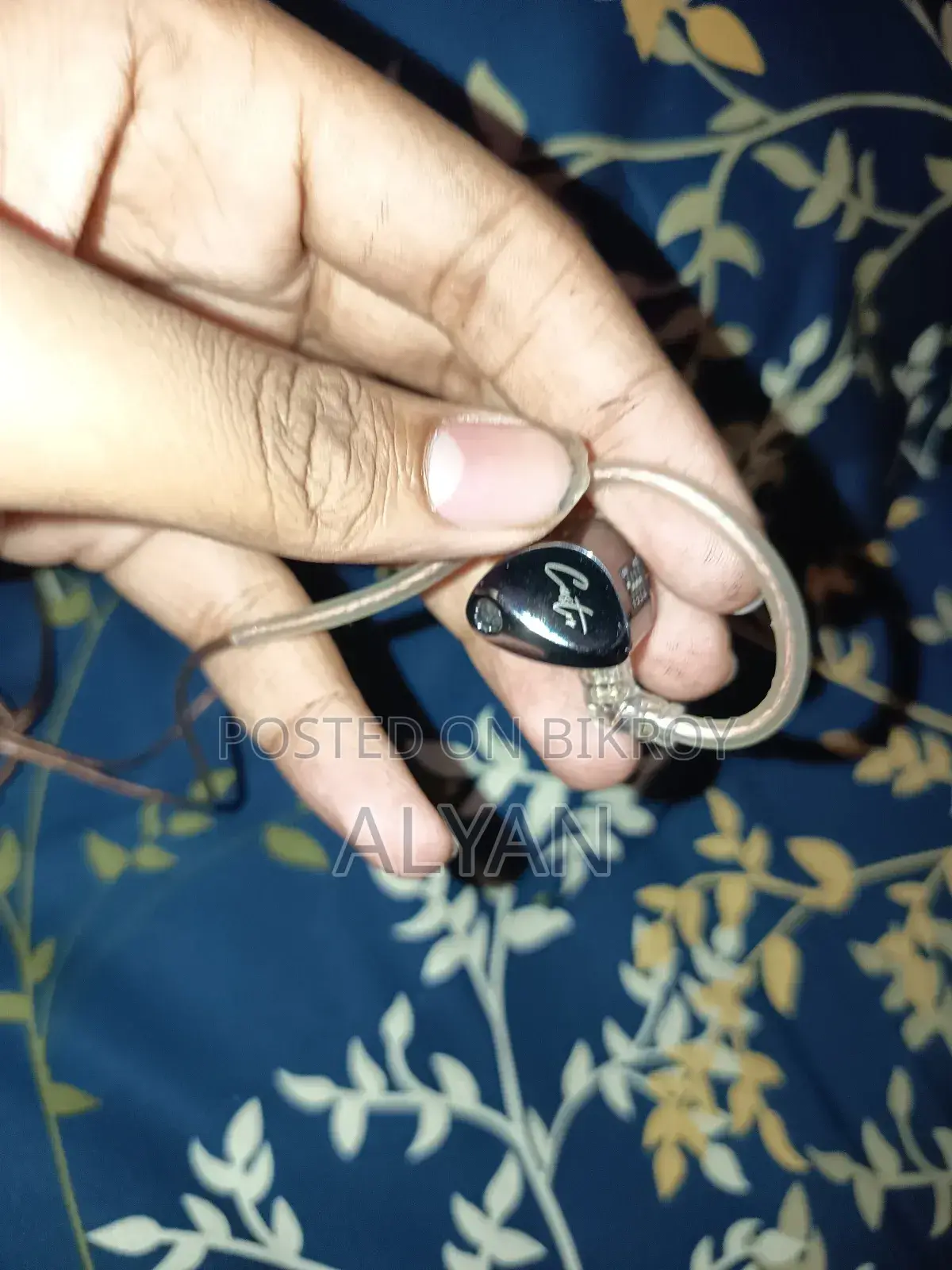 Kz Castors
