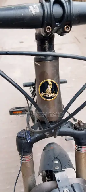 নতুন TVS Apache 160 4V 2024 সবুজ