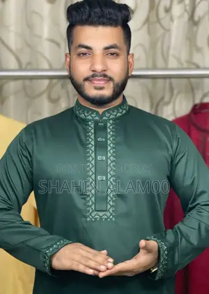 Embroidery Panjabi