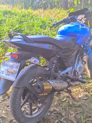 Bajaj Pulsar 150 2015 Blue
