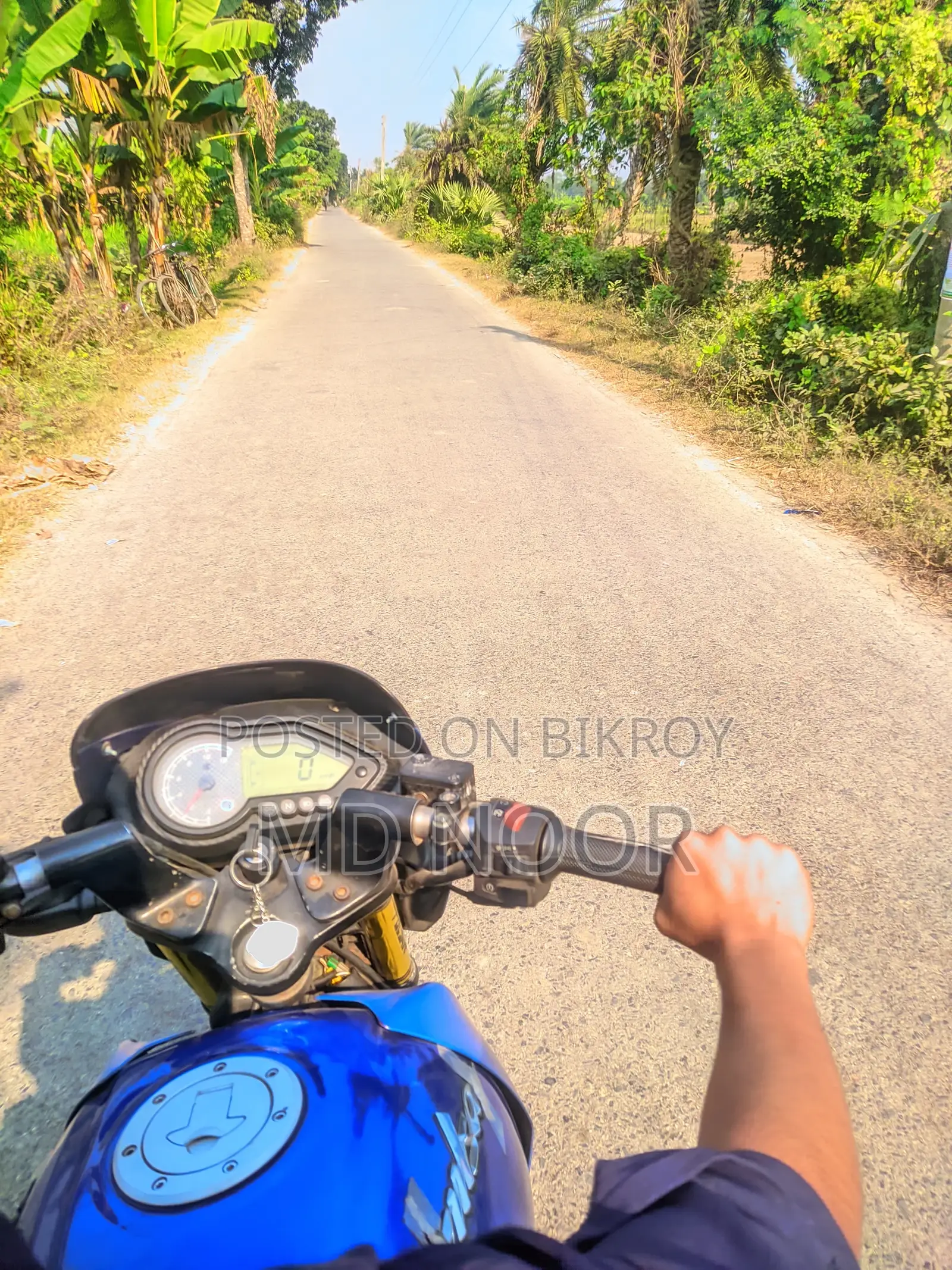 Bajaj Pulsar 150 2015 Blue