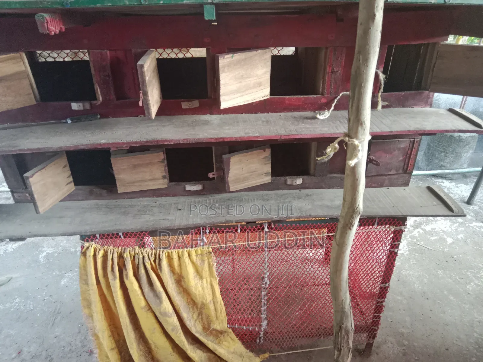 Pigeon Cage