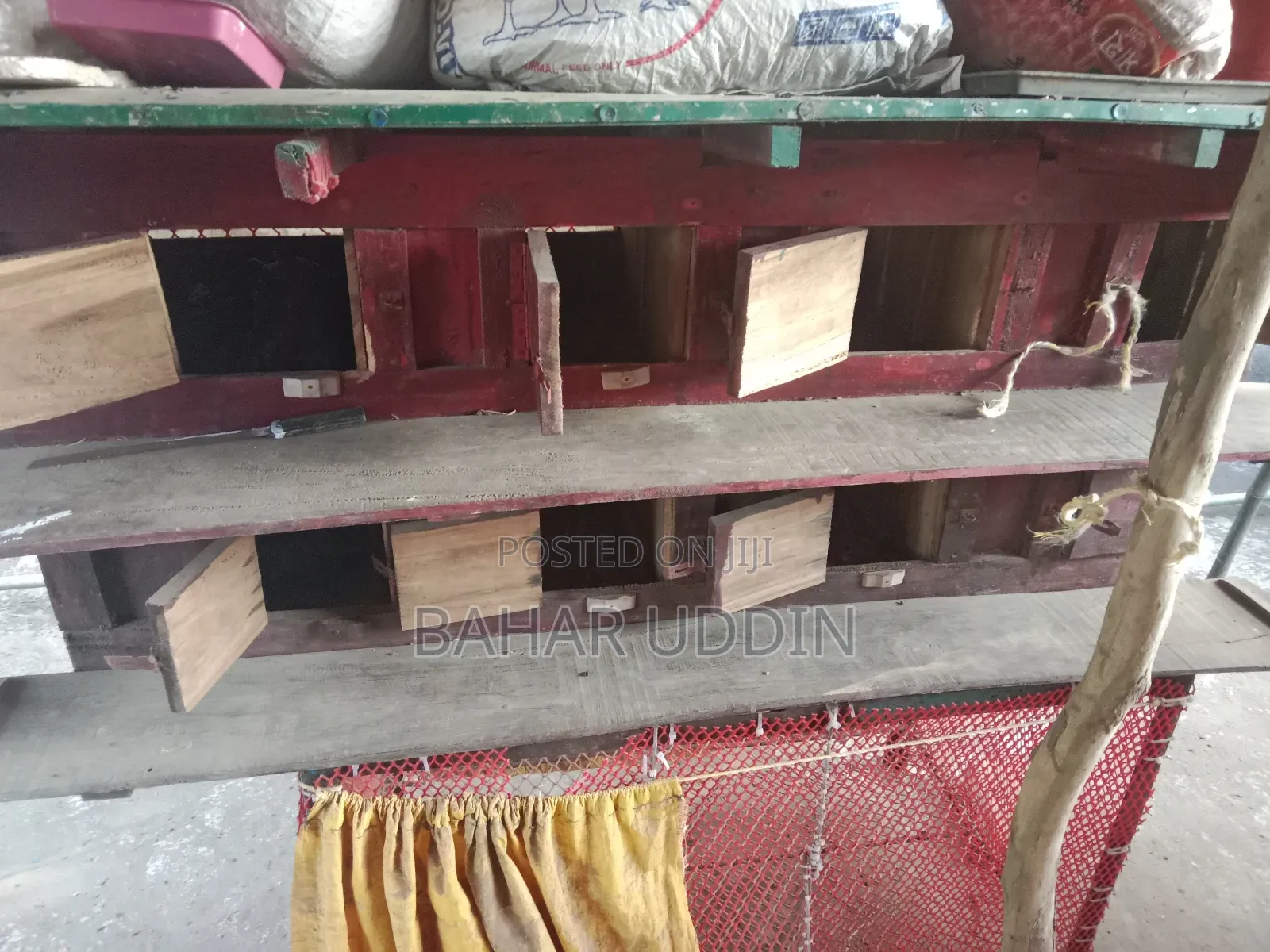 Pigeon Cage