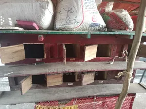 Pigeon Cage