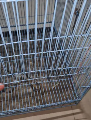 24×18×18 Inch Bird Cage