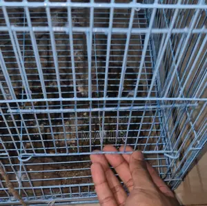 24×18×18 Inch Bird Cage