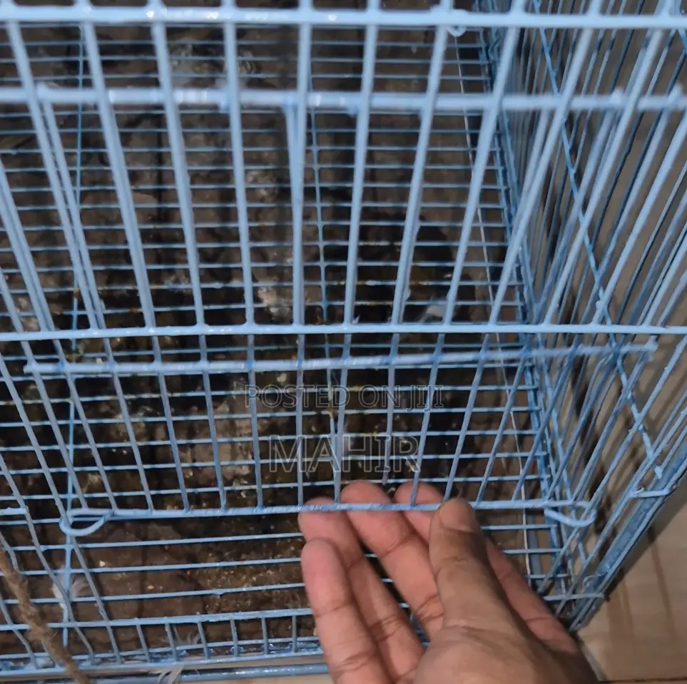 24×18×18 Inch Bird Cage