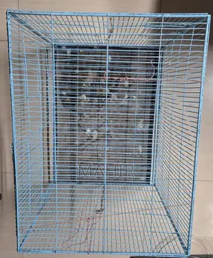 24×18×18 Inch Bird Cage (পাখির খাঁচা)