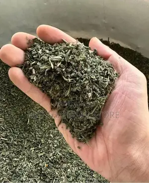 অর্গানিক গ্রিন টি